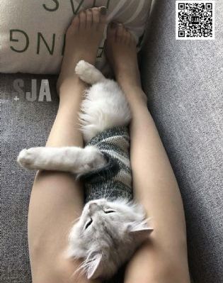 妻子的奉献_高清迅雷电影在线
