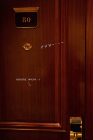 细狗视频网页版_高清在线观看电视